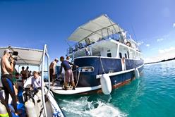 Palau Liveaboard Scuba Diving Holiday. Ocean Hunter III. Aft.